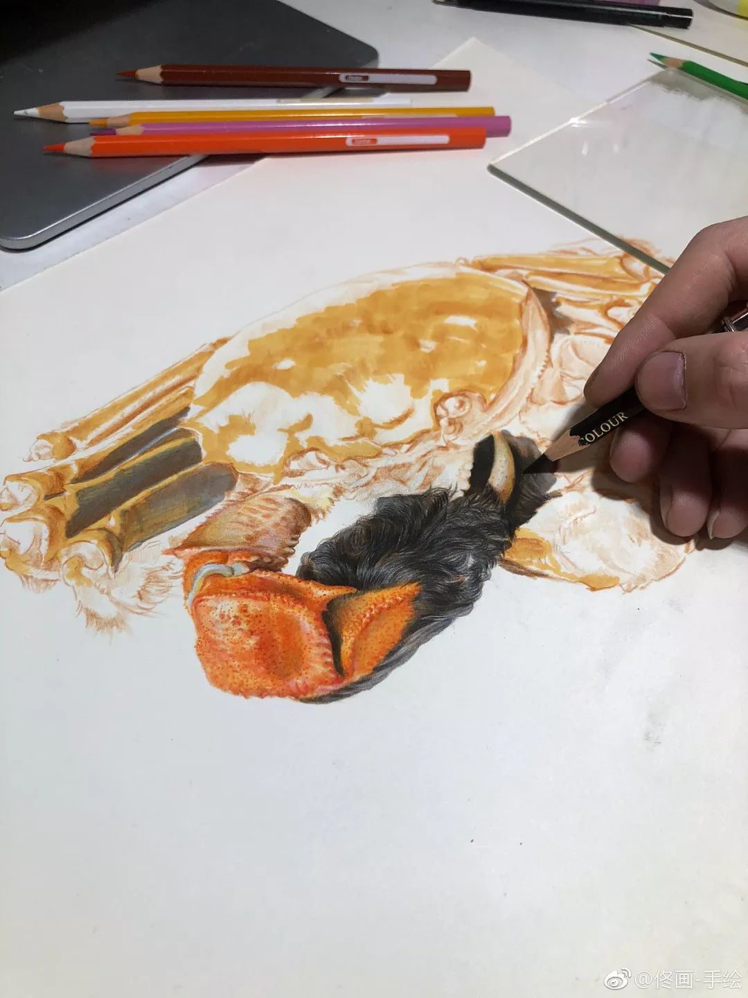 彩铅画美丽的山水画,彩铅画美人蝴蝶