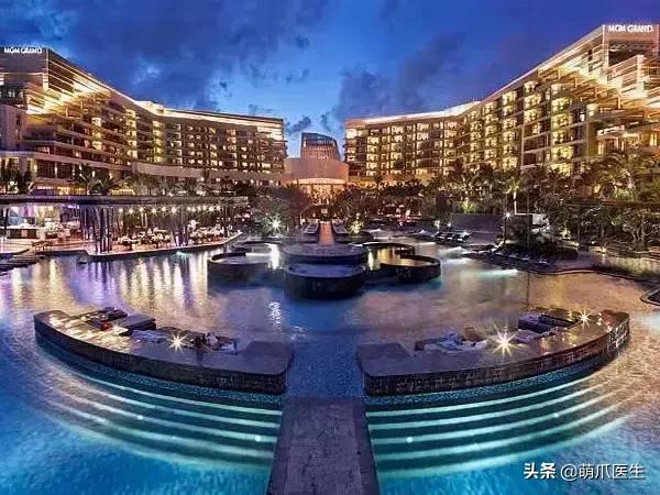 上海可带宠物入住的酒店推荐,怎么选宠物友好酒店房间