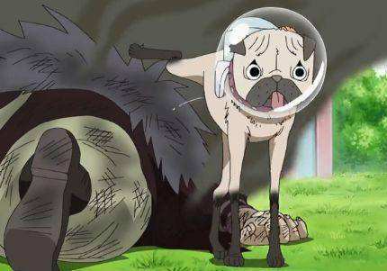 海贼王赤犬和四皇谁最厉害,海贼王赤犬的真正实力令人震撼