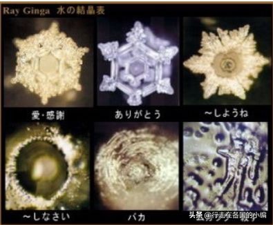 日本伪科学产品,日本伪科学交了多少智商税