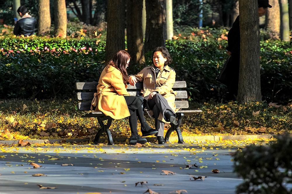 上海法租界一日游,上海旧法租界旅游攻略