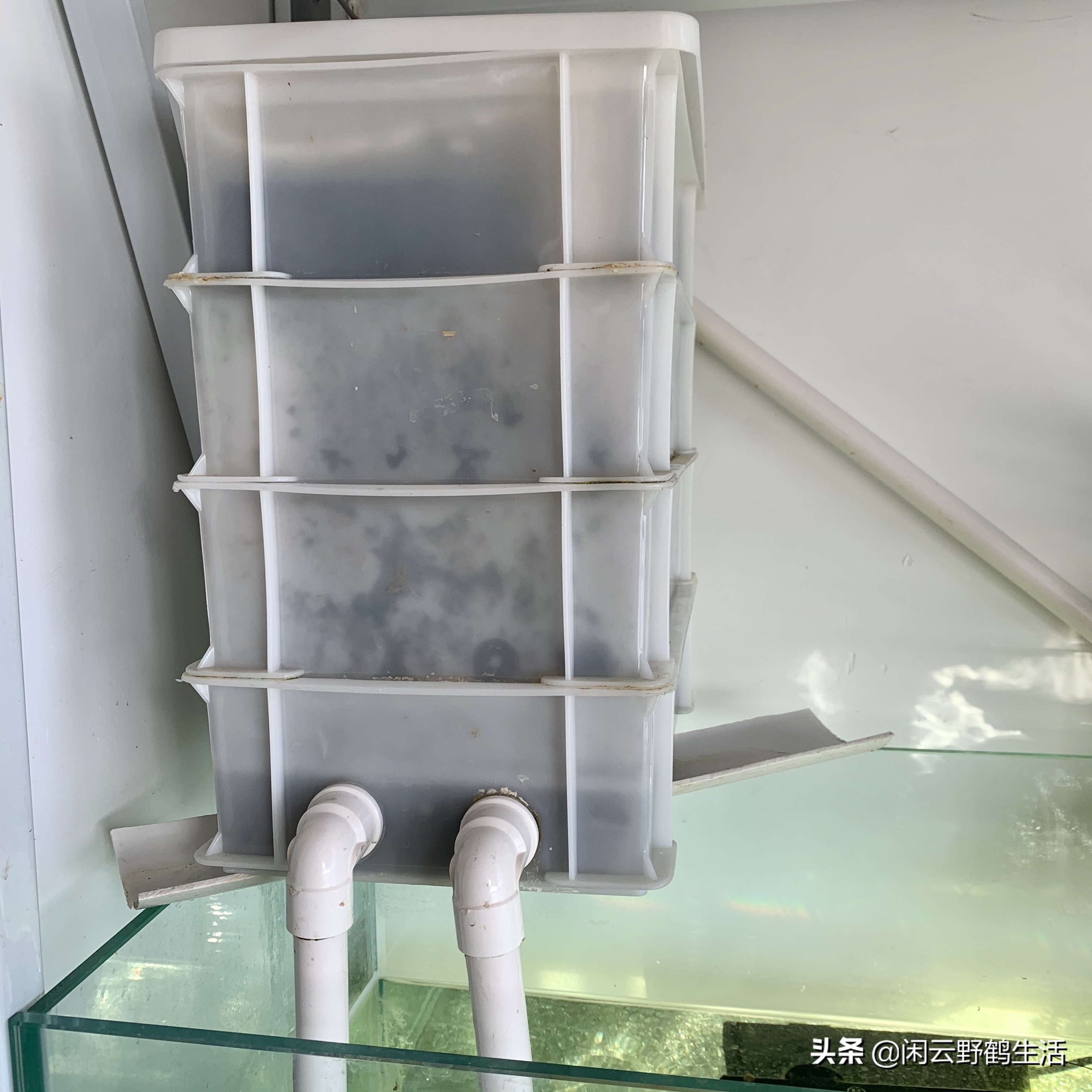 新手养鱼入门基础教程之准备鱼缸,新手养鱼入门基础教程之准备什么