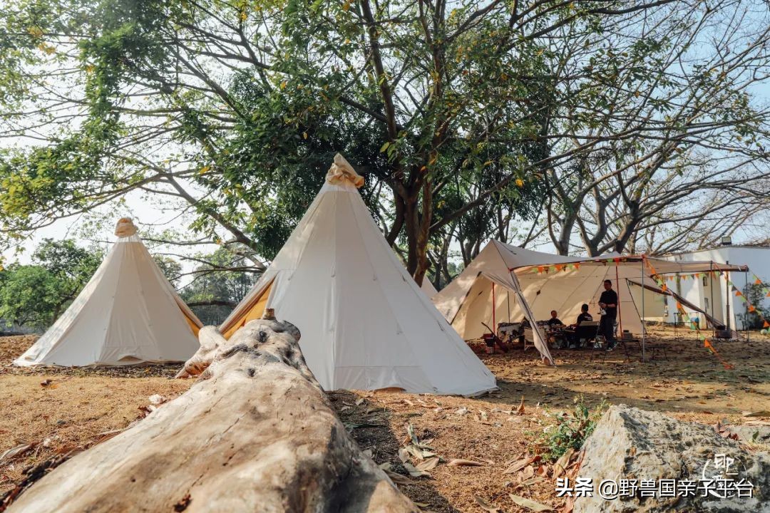 春游在即亲子露营攻略干货奉上,适合亲子的露营装备