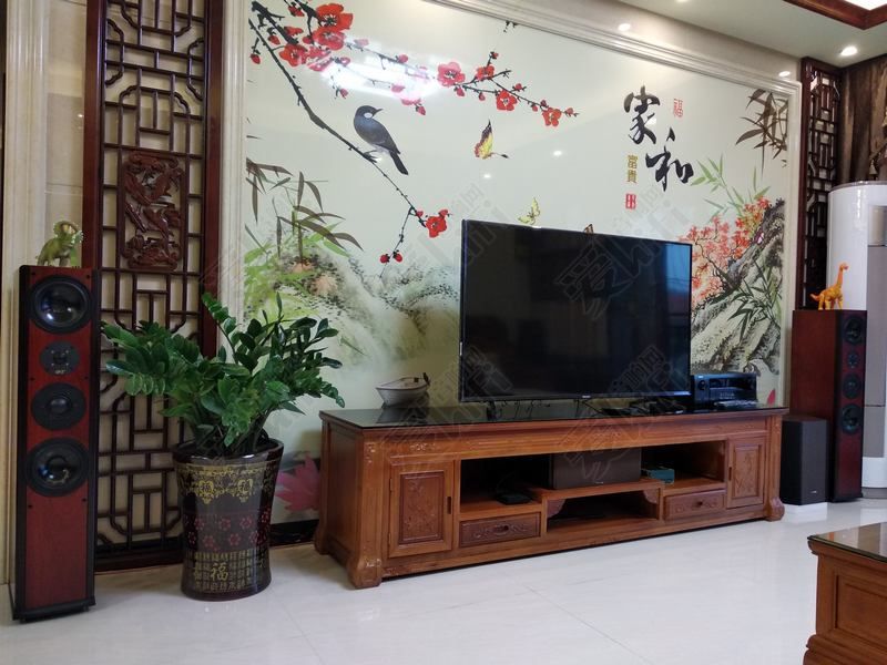 如何打造5.1家庭影院,入门级家庭影院解决方案