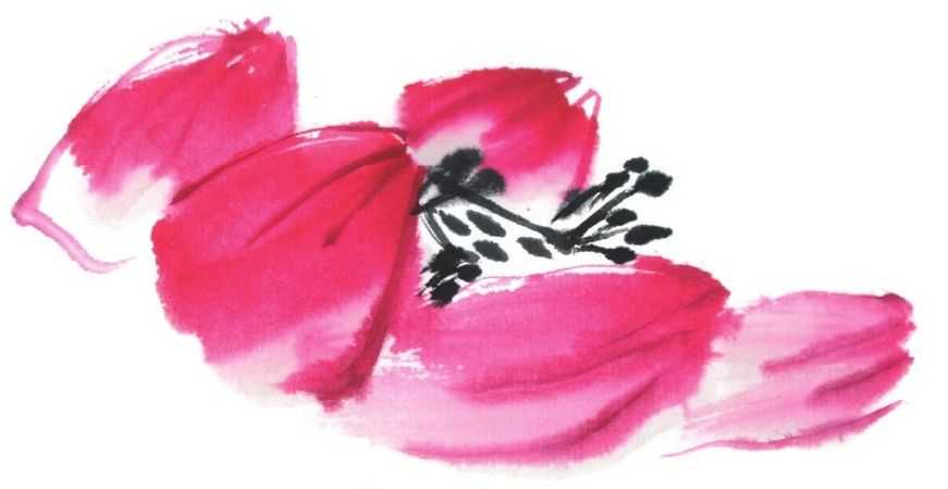 国画刘存惠荷花画法全视频,国画山水画教学视频荷花画法