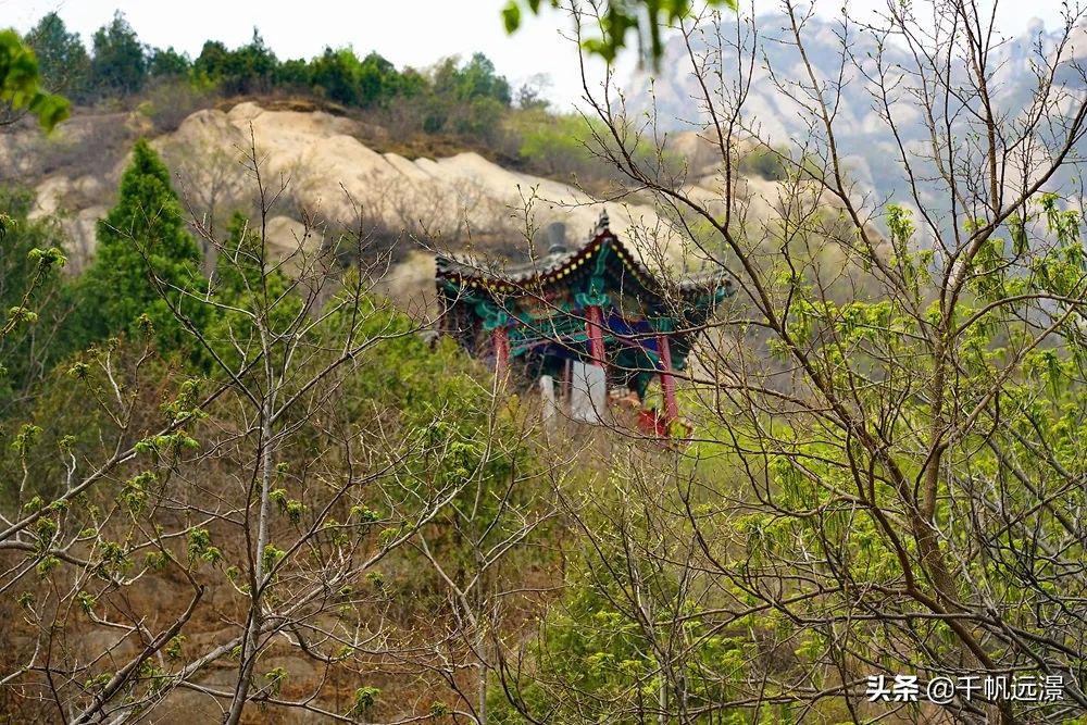 阳春四月迎来春,阳春四月槐花香