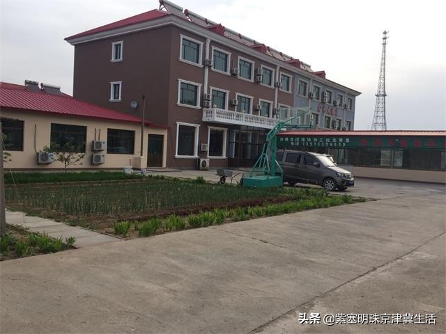 海边可以赶海吃住玩一体的农家院,秦皇岛黄金海岸牧海农家院