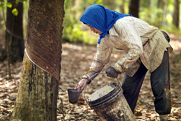 乳胶床垫15厘米厚度的怎么样,腰椎间盘突出乳胶床垫厚度