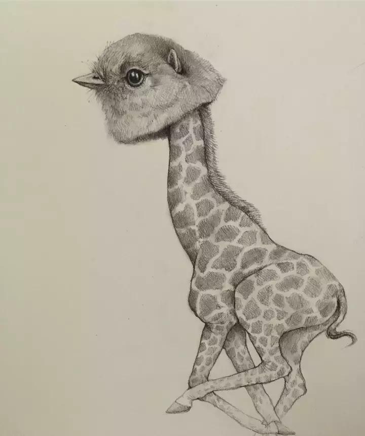 好看的动物素描,一看就会的动物素描