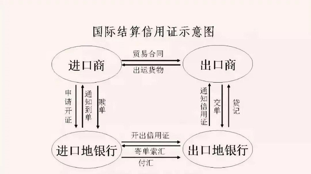 野林猫跨境电商宣传视频,野林猫跨境电商