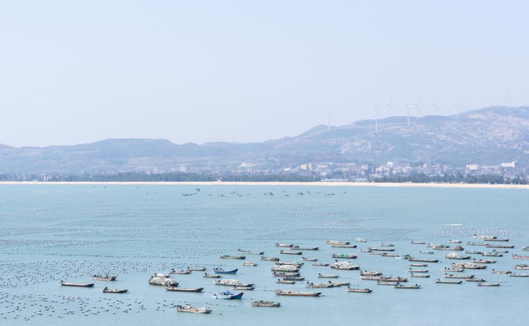 打卡福建小垦丁，漳州火山岛+镇海角攻略