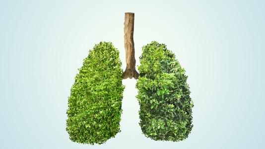 <html>
<head><title>502BadGateway</title></head>
<body>
<center><h1>502BadGateway</h1></center>
<hr><center>nginx</center>
</body>
</html>
<!--apaddingtodisableMSIEandChromefriendlyerrorpage-->
<!--apaddingtodisableMSIEandChromefriendlyerrorpage-->
<!--apaddingtodisableMSIEandChromefriendlyerrorpage-->
<!--apaddingtodisableMSIEandChromefriendlyerrorpage-->
<!--apaddingtodisableMSIEandChromefriendlyerrorpage-->
<!--apaddingtodisableMSIEandChromefriendlyerrorpage-->
