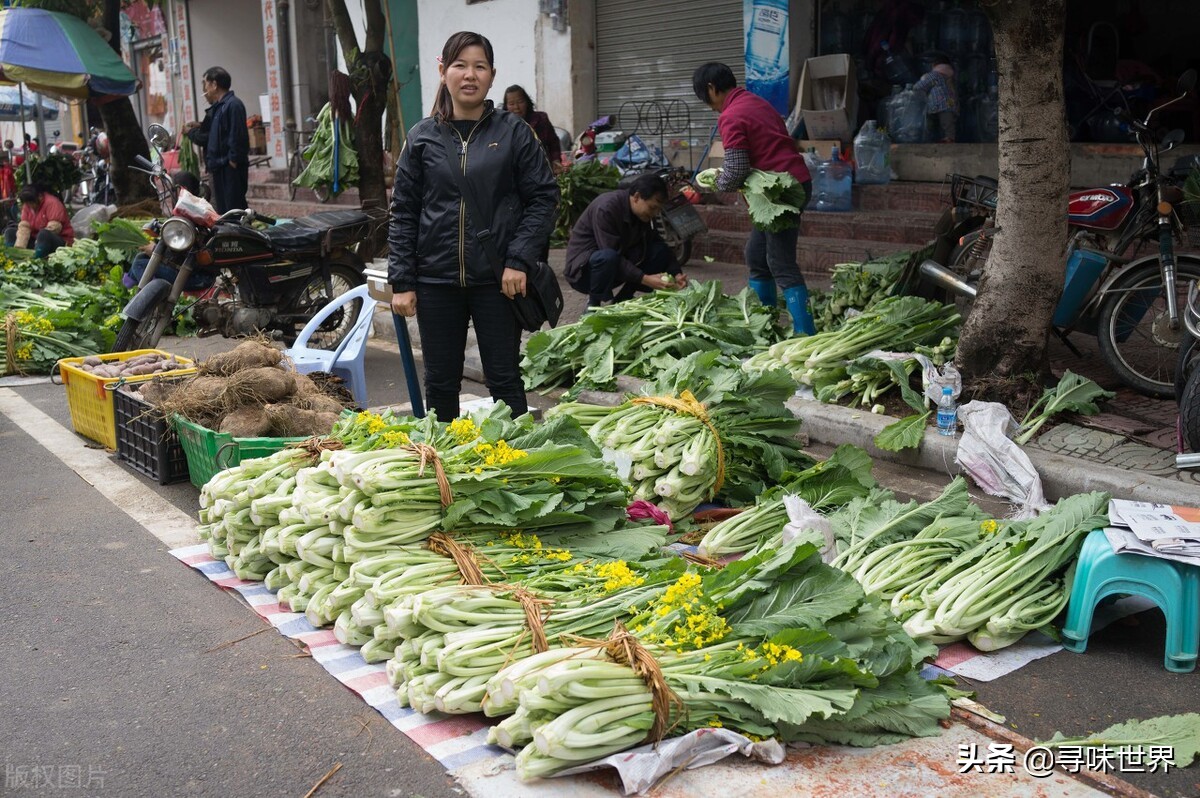 广东菜心和油菜的区别,广东菜心跟甜菜心有什么区别