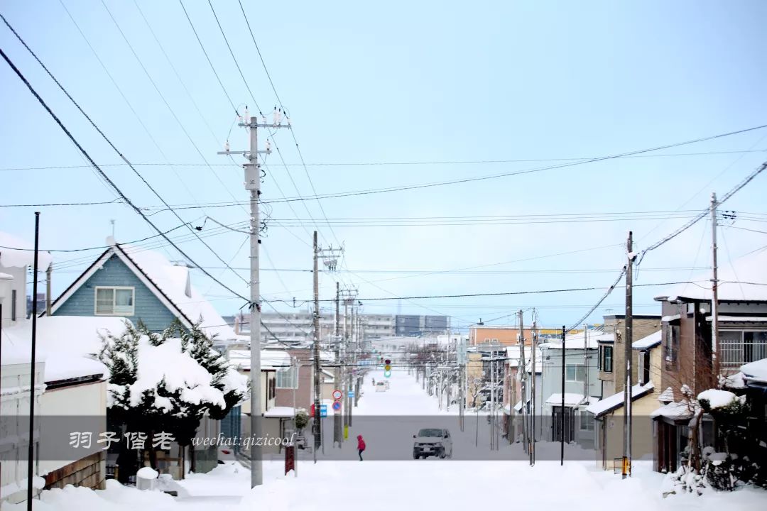 老实说，这一趟北海道就是为了拍好看的照片去的