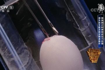 鸡蛋皮缝合手术,缝合鸡蛋膜视频教程