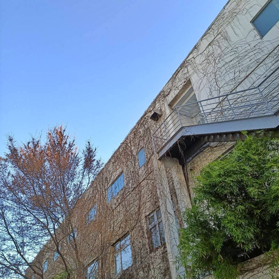 买小米11u使用一年感受,小米11pro骁龙888真实使用感受