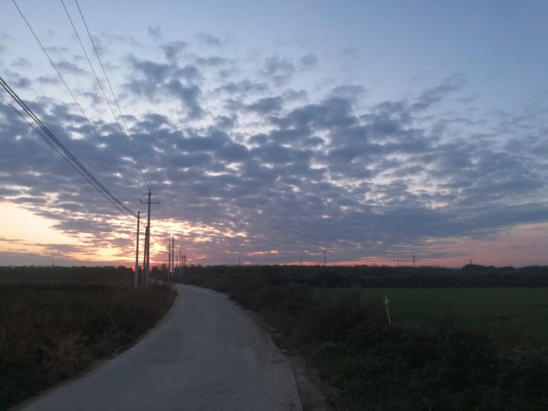 英语习惯用语,3年级英语对话常用语