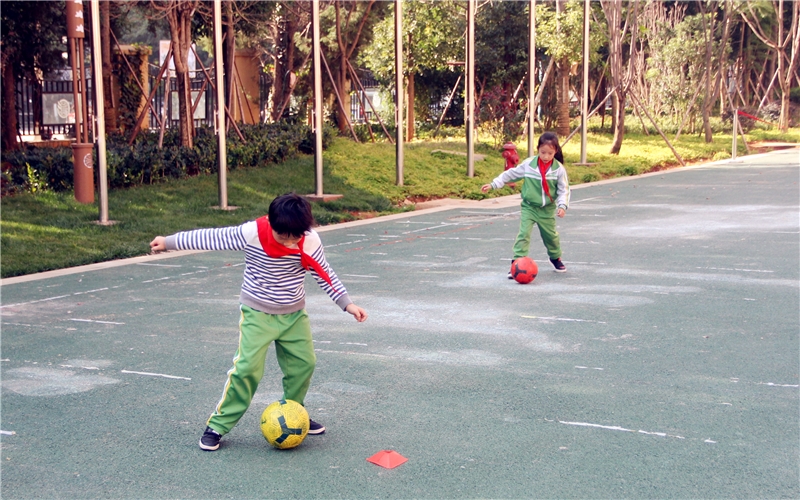 芳草地国际学校昆明西山区,昆明芳草地足球学校