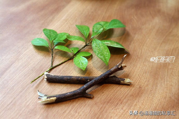 日本国宝级甜品大师小山进是谁,日本烘焙大师小山进