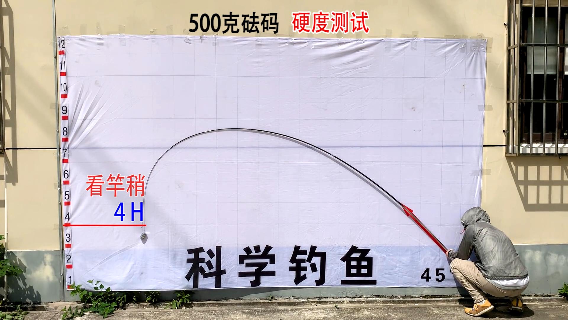 日本东丽高碳鱼竿价值,东丽高碳鱼竿测评