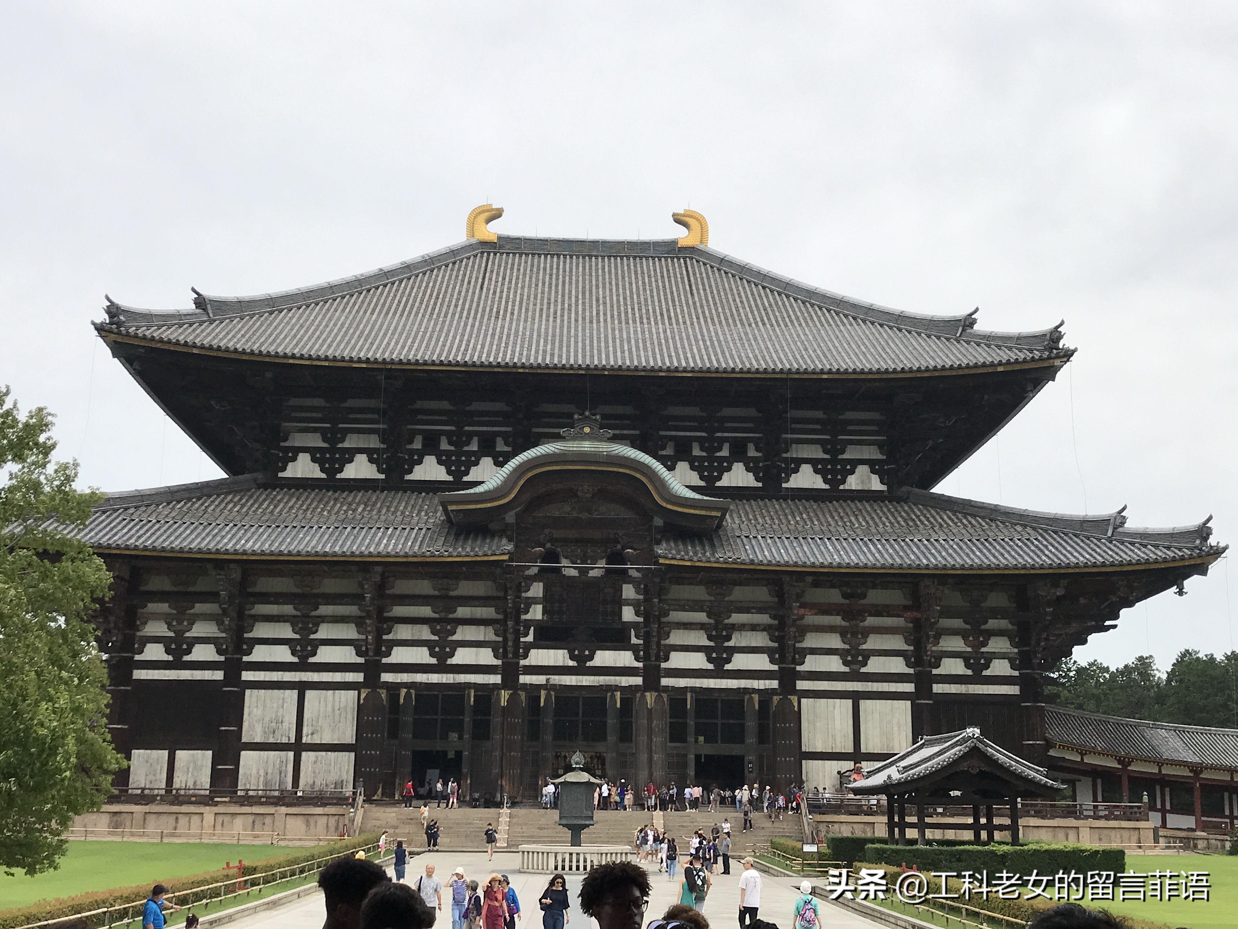奈良东大寺大佛殿和太和殿,奈良东大寺位置地图图片