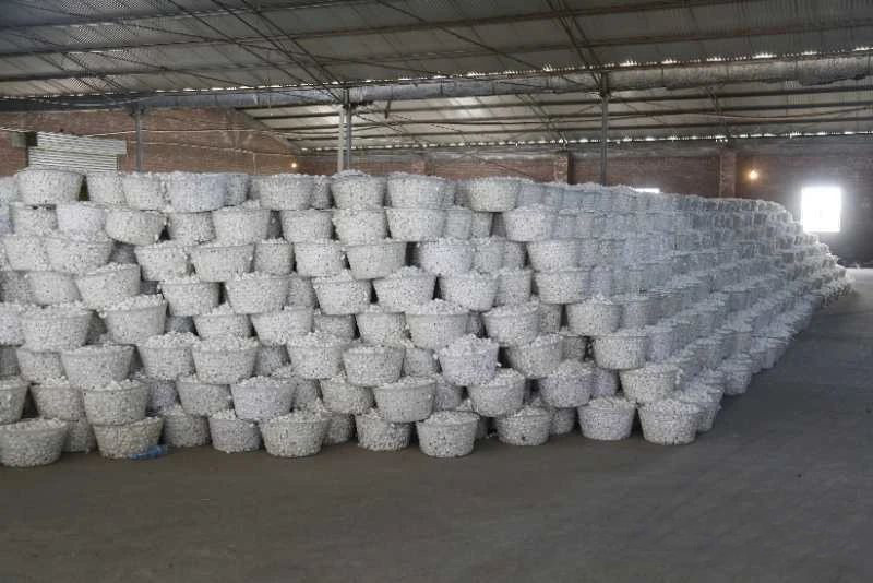 鑫缘集团保护价收茧，海安蚕农超预期受益