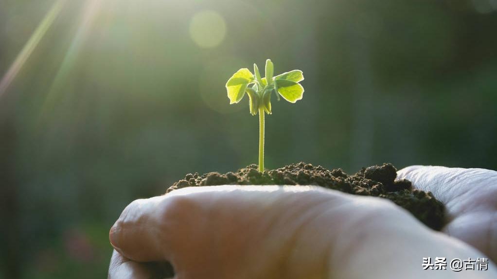 所有的困难其实都是为了让你成长,每一次的困难都会让自己成长