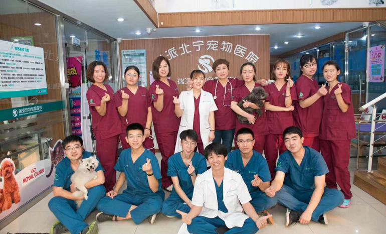 瑞派宠物医院全国分布情况,瑞派宠物医院重复收费