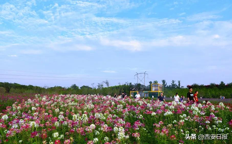 西安市有哪些公园免费开放,西安免费儿童玩的公园