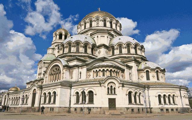 保加利亚经典玫瑰,保加利亚玫瑰什么样