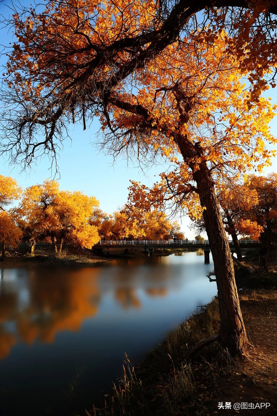 我是如何从没出过省,到周游几十个国家的?|图虫十年特辑Vol.1