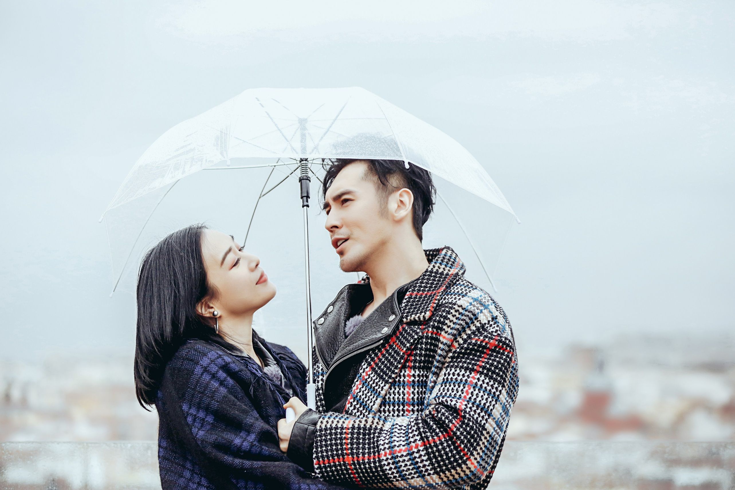 杨烁表白,杨烁表白视频