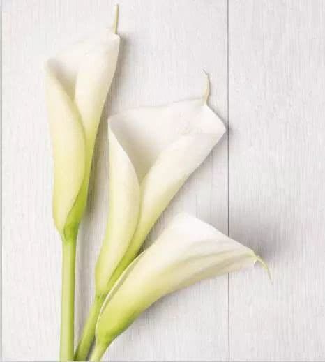 你家喜欢养的这种花居然有毒？不要放室内，更不要让小孩接触