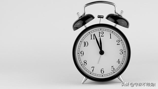 蜜獾面对三只狮子毫不畏惧,蜜獾是不是连狮子和老虎都不怕