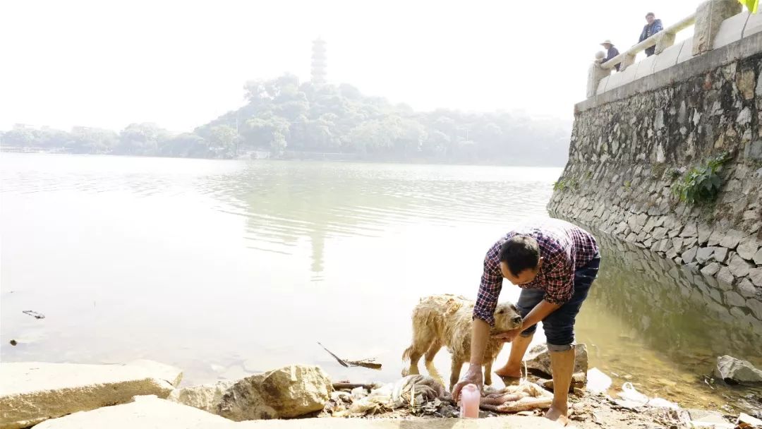 广州地铁22号线离增城距离多远,增城地铁21号线增城广场站