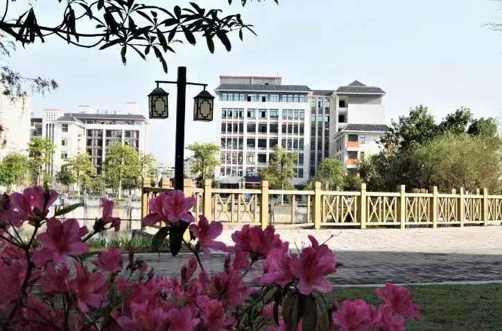 惠州卫生职业技术学院春招多少分,2023惠州卫生职业学院夏季录取分