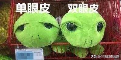 有人竟花1万给猫拉了双眼皮！网友炸锅：考虑过猫的感受吗？