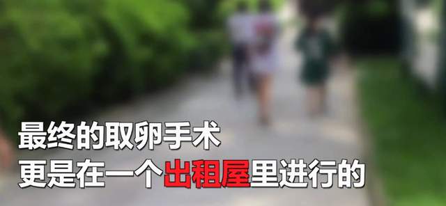 一颗卵子值100,卵子捐卵