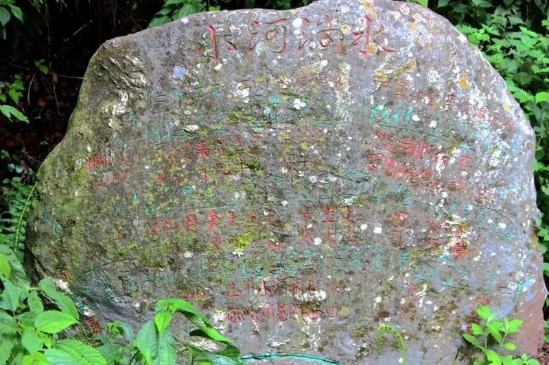 云品出滇入鲁,云品出滇鲜