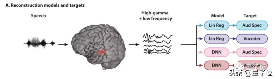 最强读心术！脑波直接转语音，你的秘密已无处藏身｜Nature子刊