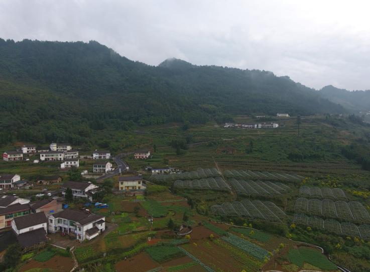 閲嶅簡涔℃潙缁垮寲缇庡寲寤鸿,缇庝附涔℃剚鍐滄潙缁垮寲缇庡寲