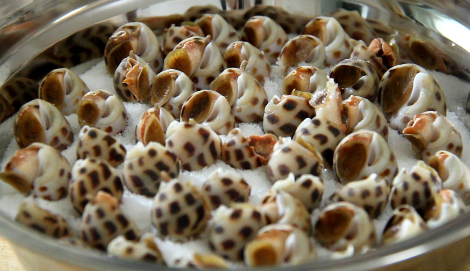 花螺怎样做才比较好吸,花螺大厨做法