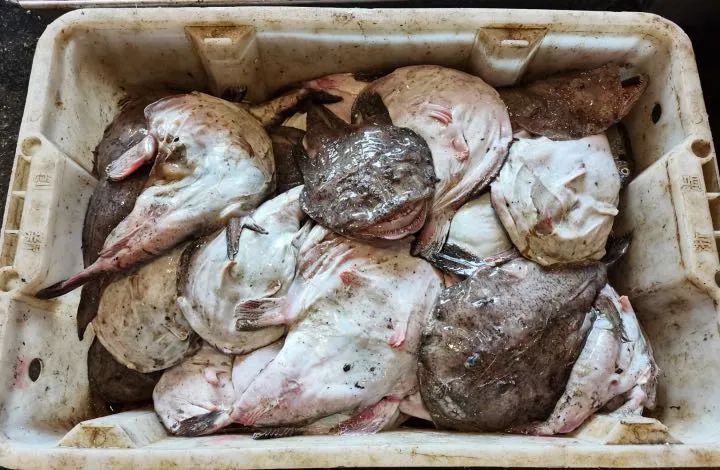 全国哪个地方的菜刀最好,全国最大菜刀生产基地