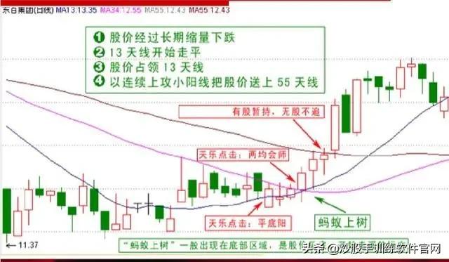 像乌龟一样趴着炒股,像麻雀一样的股票