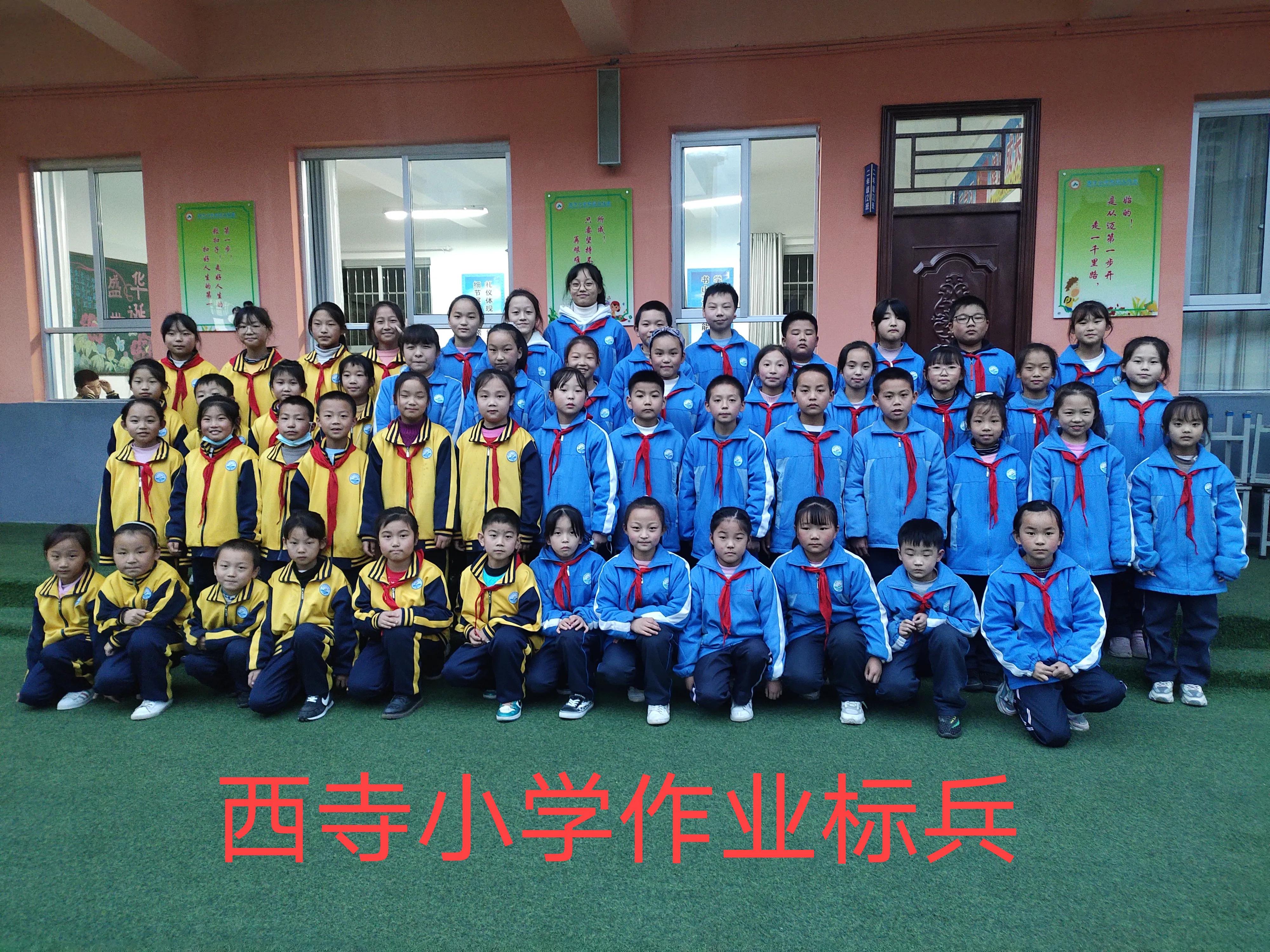 双减政策下小学作业怎么布置,双减政策下学校特色活动方案