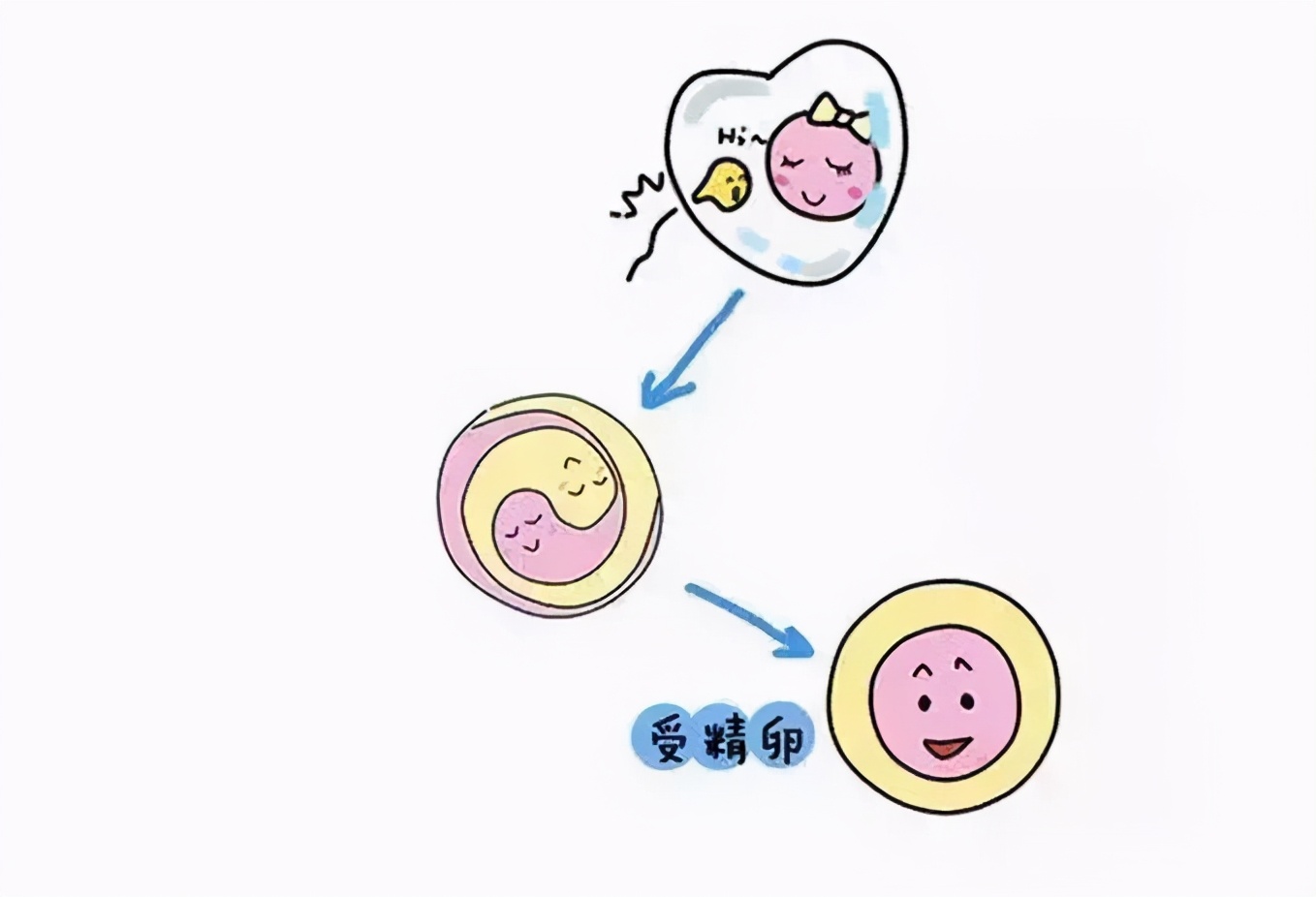 排卵时是什么感觉呢,排卵时有三种表现特别强烈