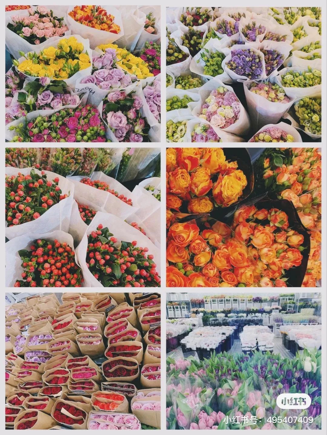 在上海生活必须知道的100件事,来上海做这7件小事