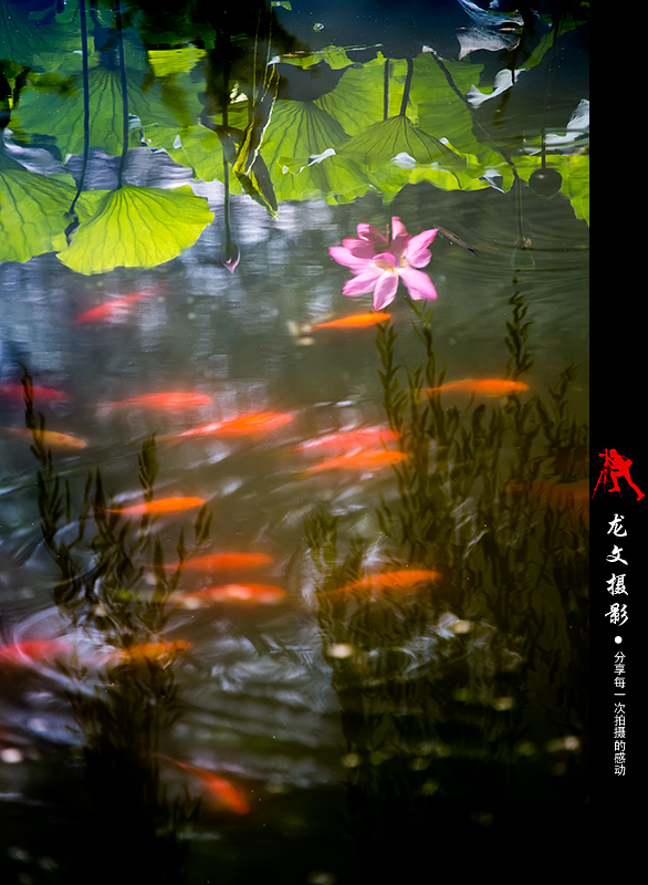 灏煎悍澶氶噸鏇濆厜鏁欑▼,浣宠兘澶氶噸鏇濆厜鏁欑▼