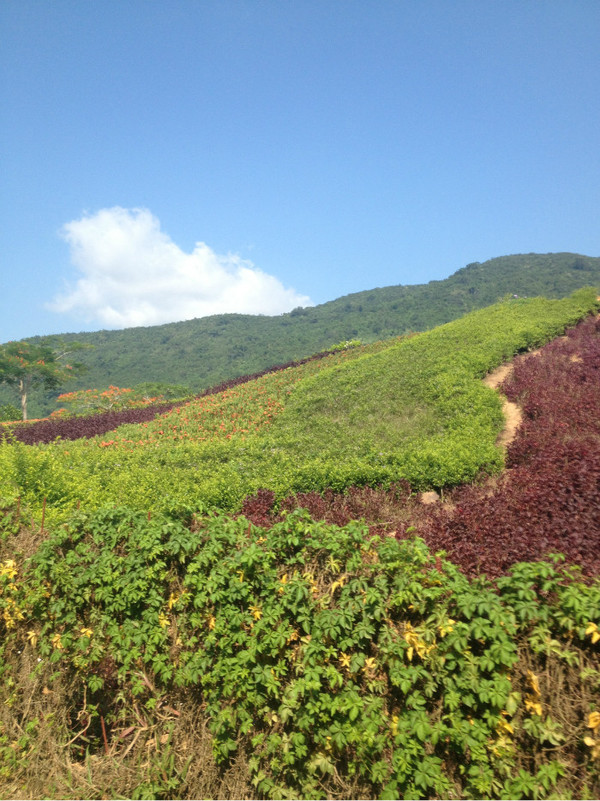 三亚自由行旅游攻略超详细哦,三亚旅游自由行全攻略