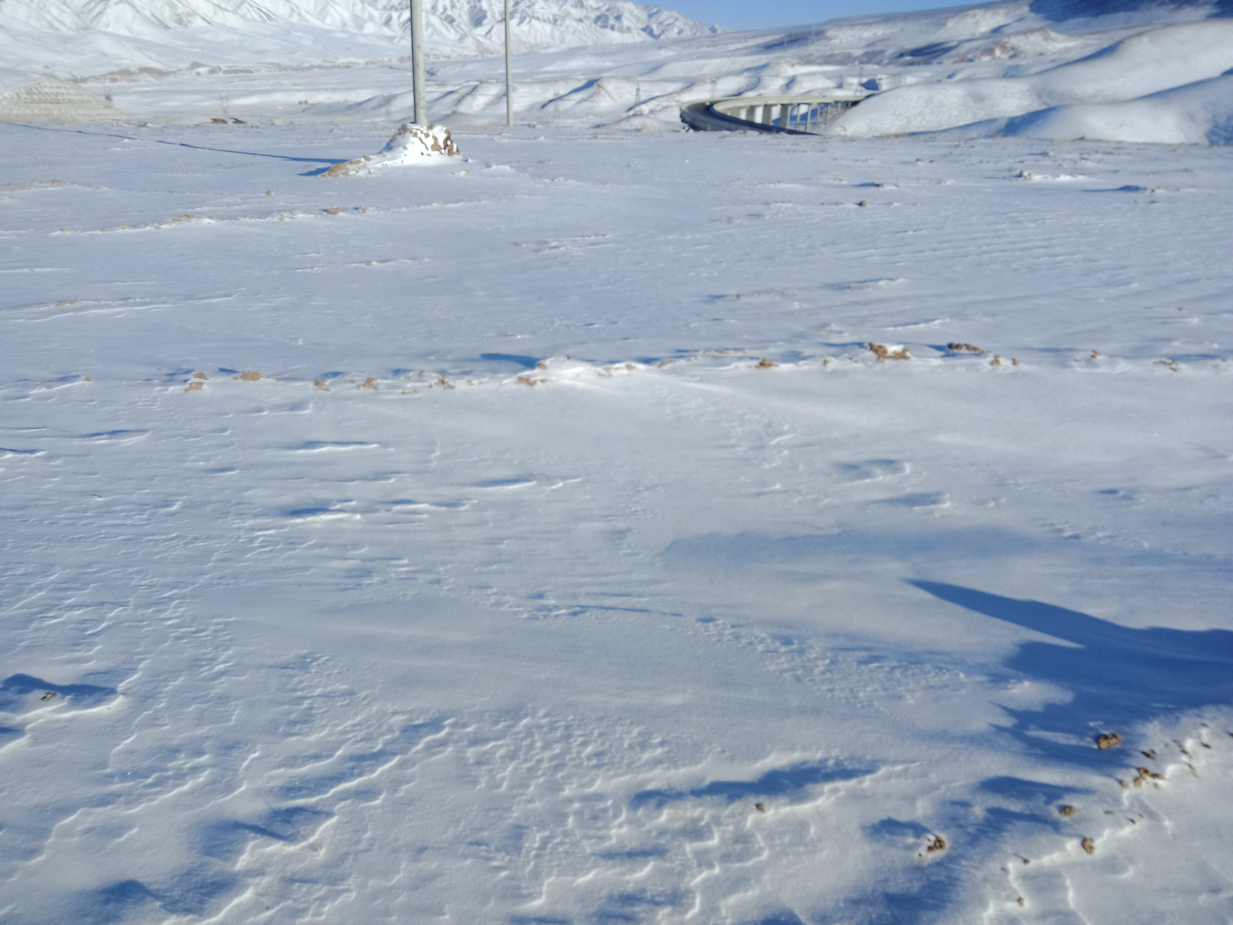 青海日月山埋尸案名单及照片,青海日月山埋尸案告破